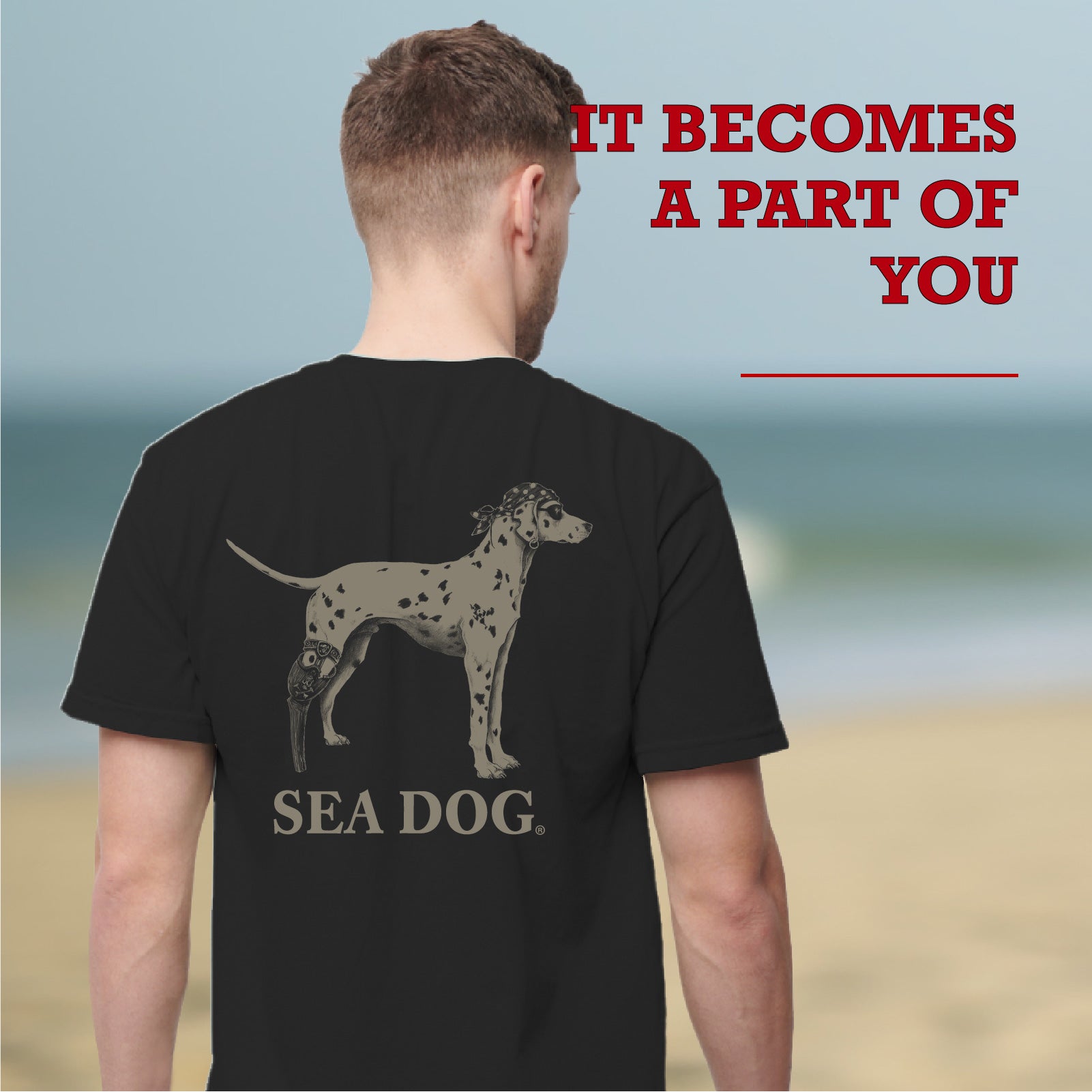 Sea Dog Founder - Image 5